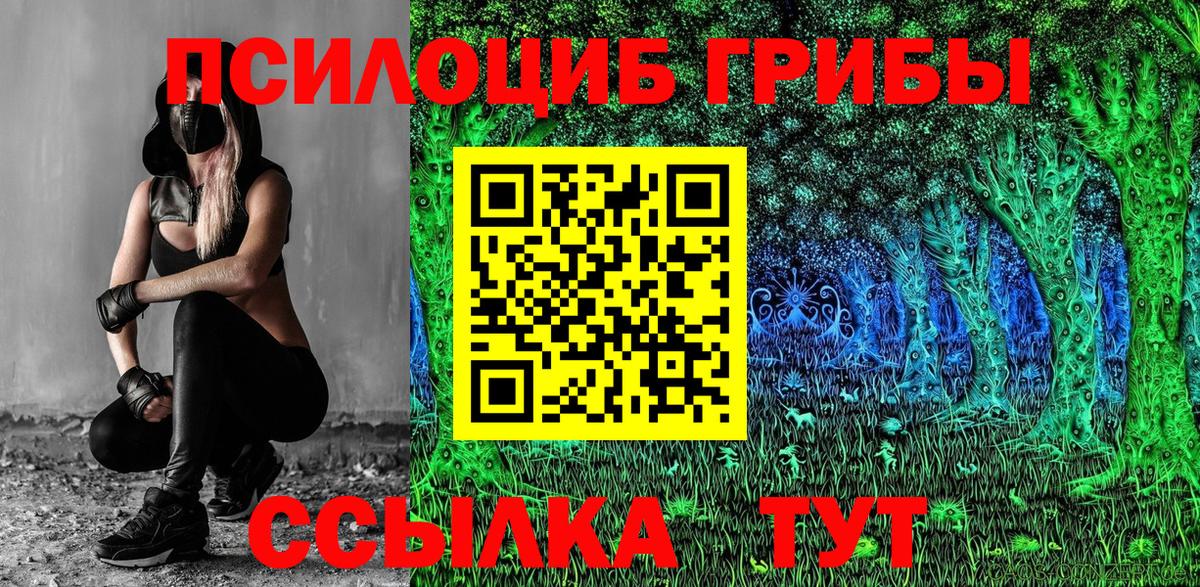 Галлюциногенные грибы мицелий Лесной