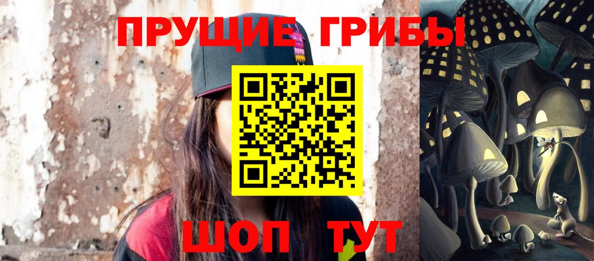 Псилоцибиновые грибы Cubensis  Вход с VPN  Лесной 