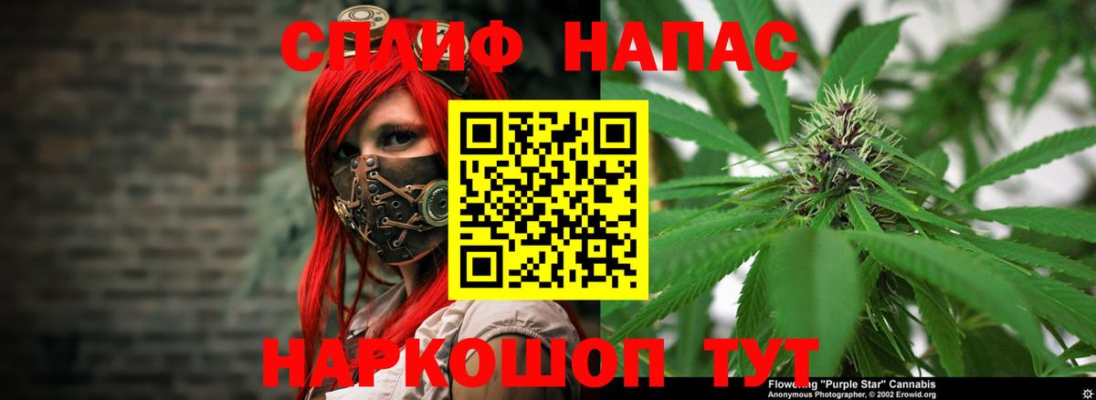 Бошки Шишки тримм Лесной